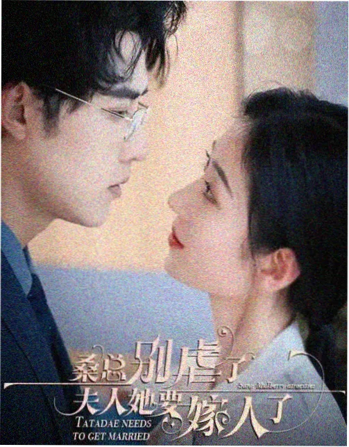 繁花在线观看